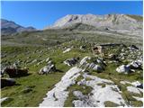 Rifugio Pederü - Sasso delle Dieci / Zehnerspitze